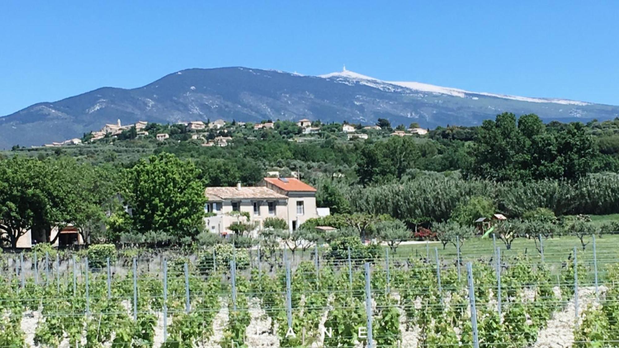 Gite En Provence Lavande Modene Exterior foto
